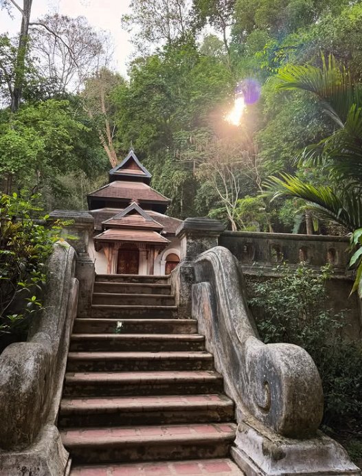 The forest staircase up to Wat Pha Lat with sunlight through the trees