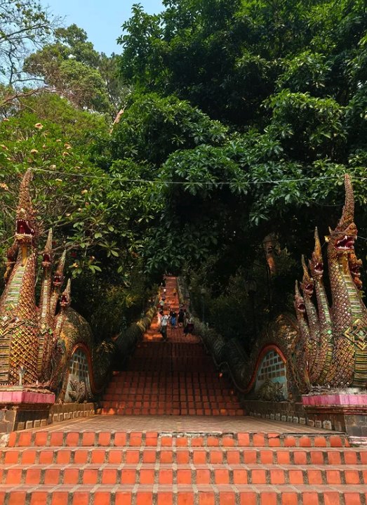 The foot of the naga staircase at Doi Suthep, red steps rising between the trees